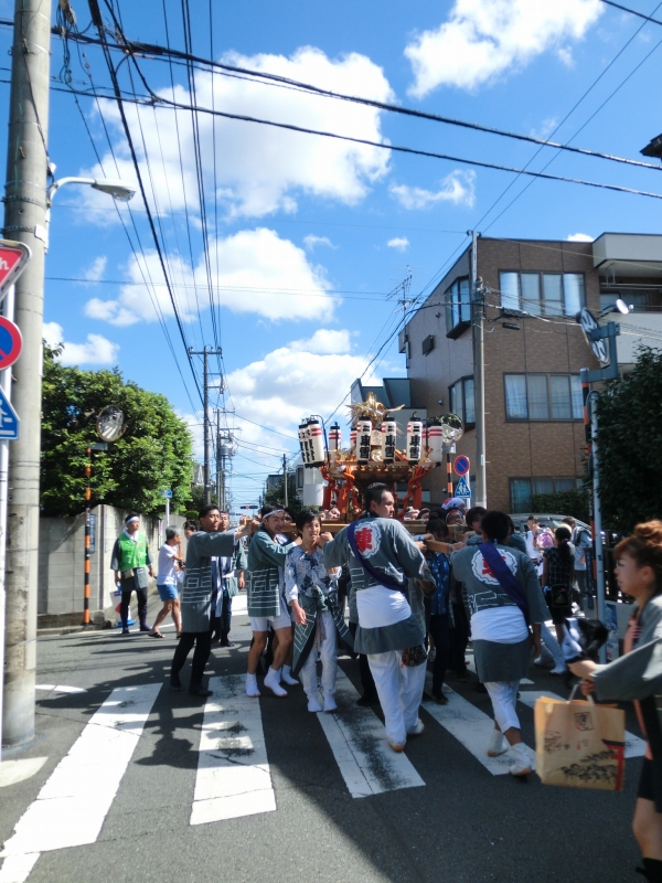 D-217