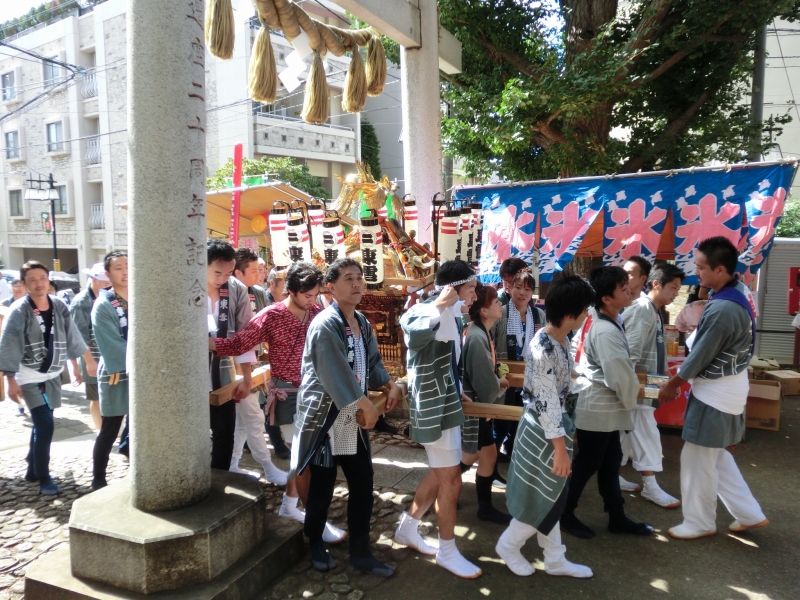 D-224