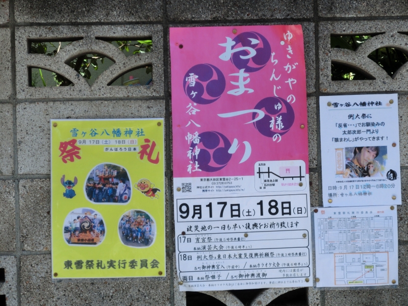 D-259
